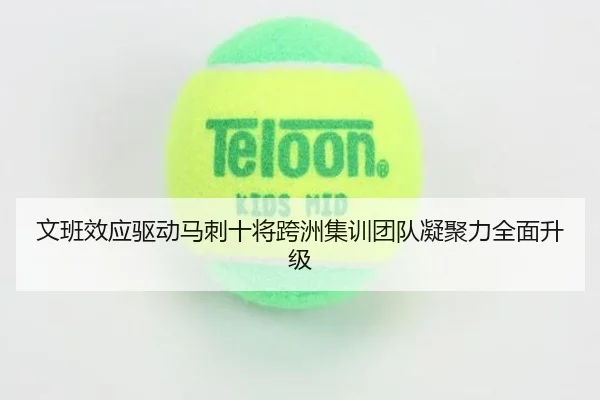 文班效应驱动马刺十将跨洲集训团队凝聚力全面升级